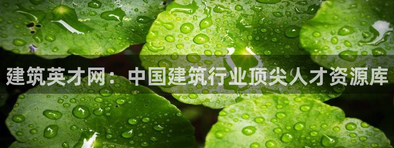 谈球吧娱乐app下载官网苹果